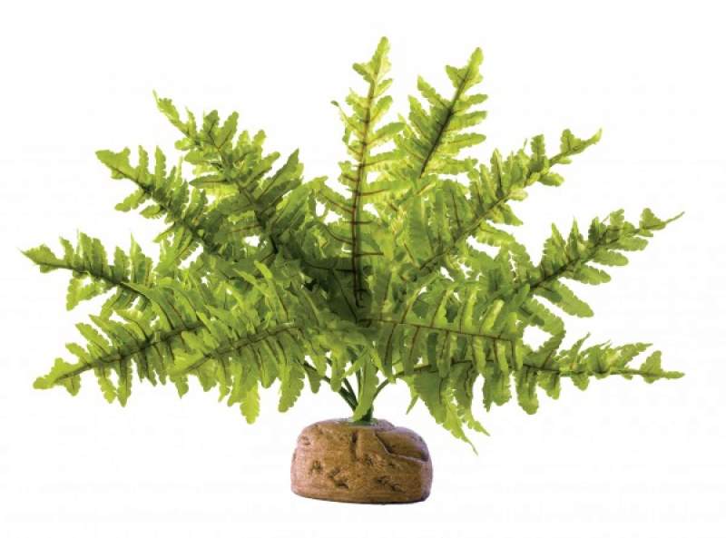 Exo Terra Rainforest Ground Plants